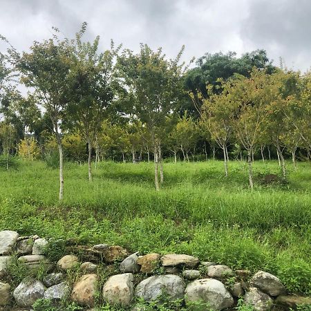 Sunrise Forest Fenglin Exterior photo