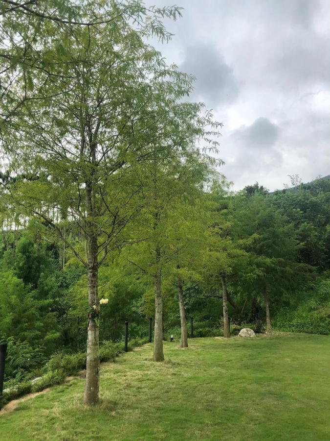 Sunrise Forest Fenglin Exterior photo