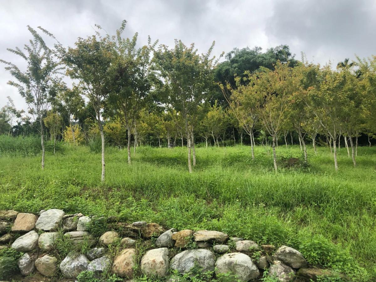 Sunrise Forest Fenglin Exterior photo